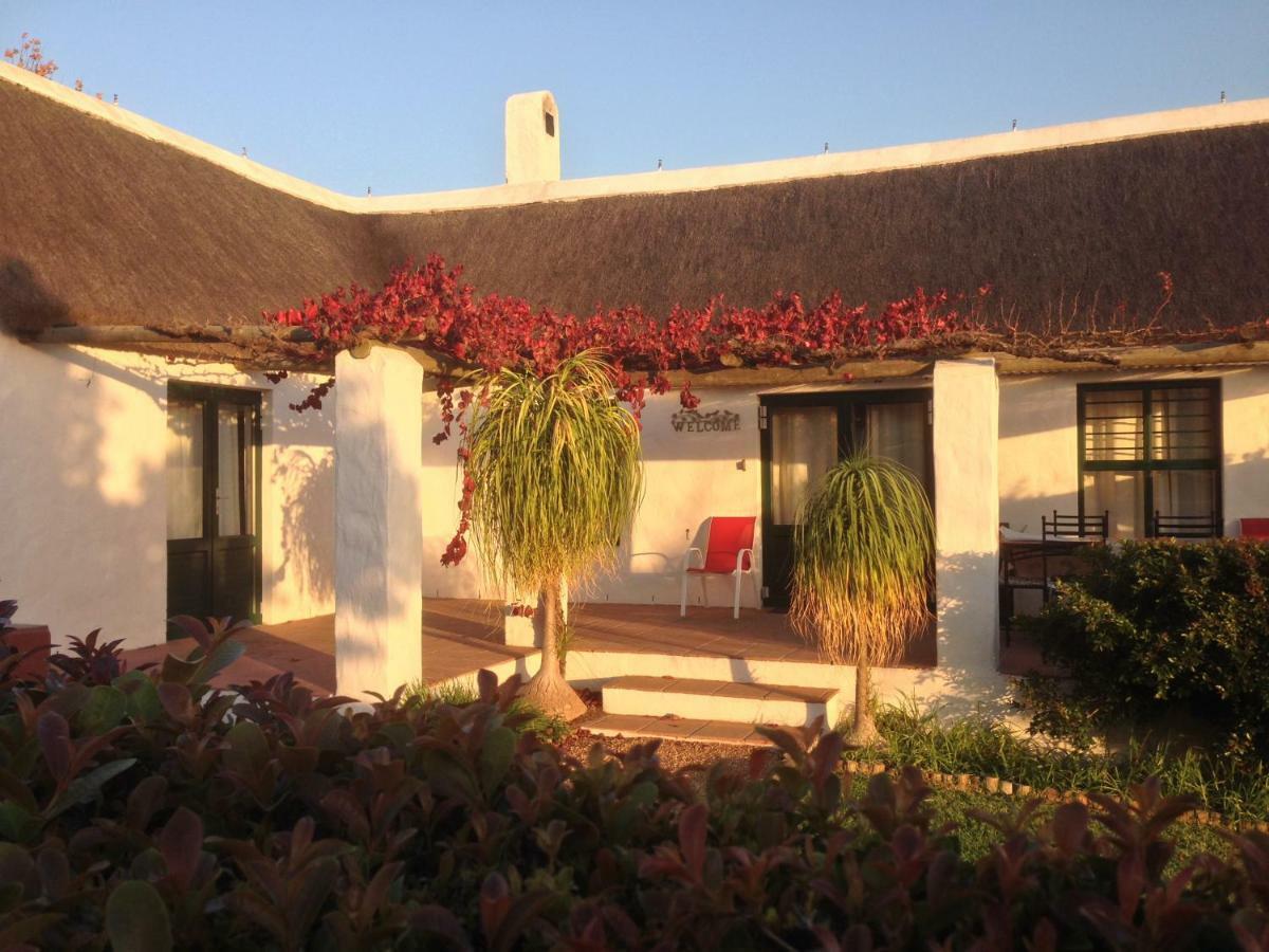 Mooi Bly Villa พาร์ล ภายนอก รูปภาพ
